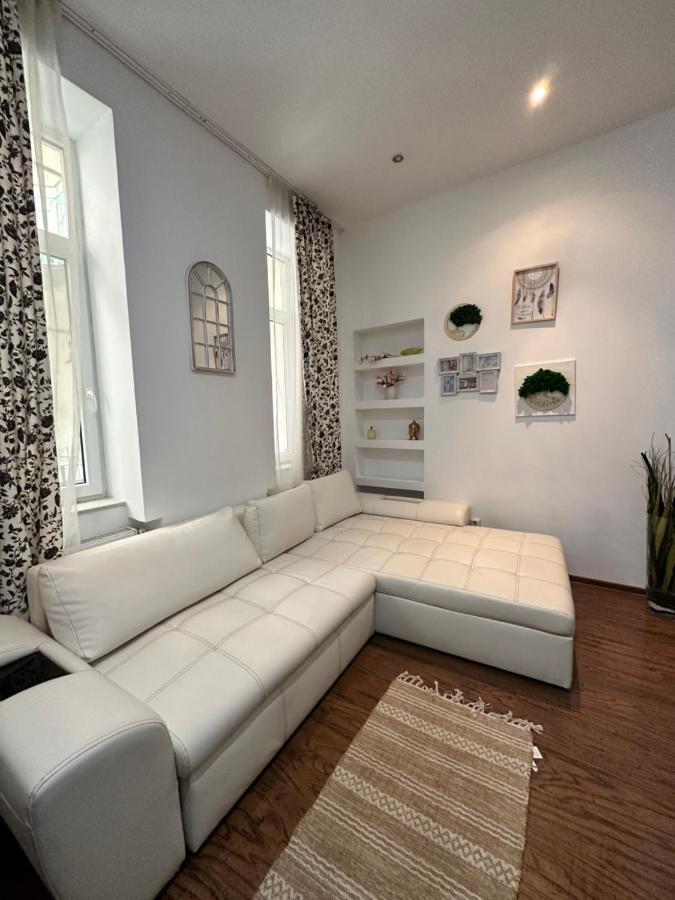 Harmony Homes- Piata Unirii Central Apartament Timişoara Exterior foto