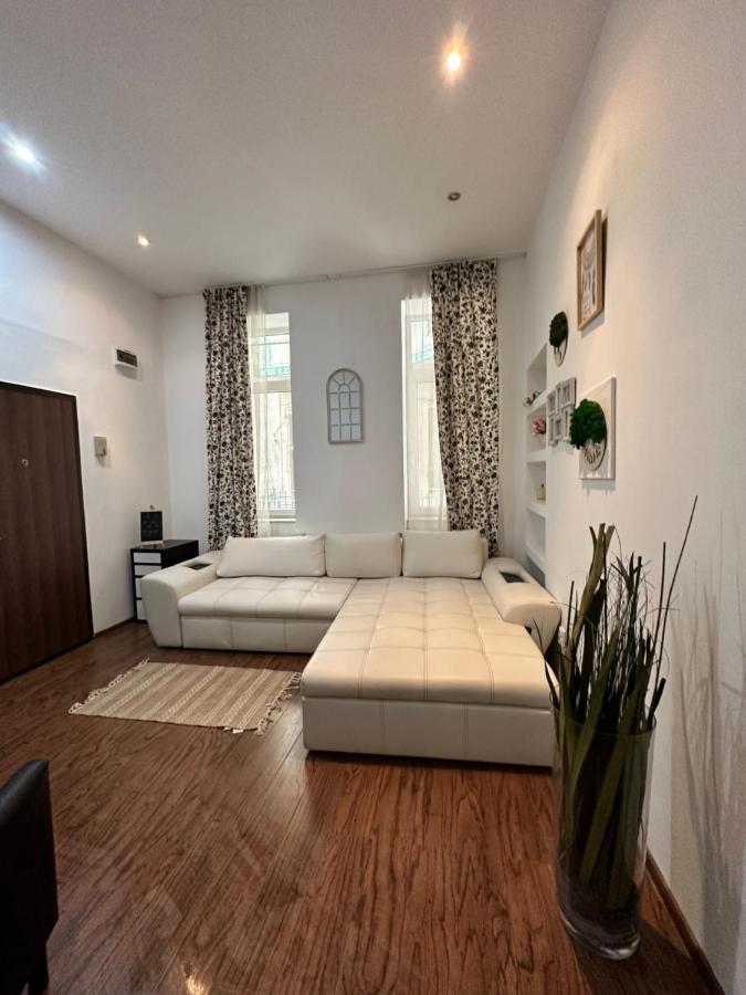 Harmony Homes- Piata Unirii Central Apartament Timişoara Exterior foto